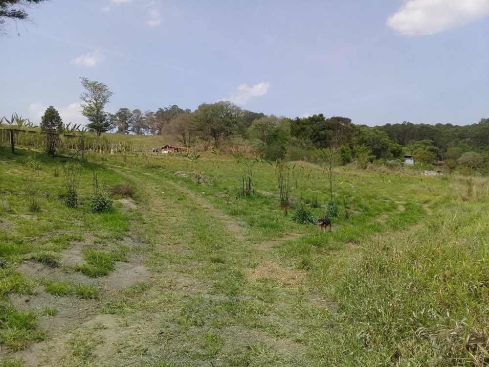 Sítio à venda, 10m² - Foto 12