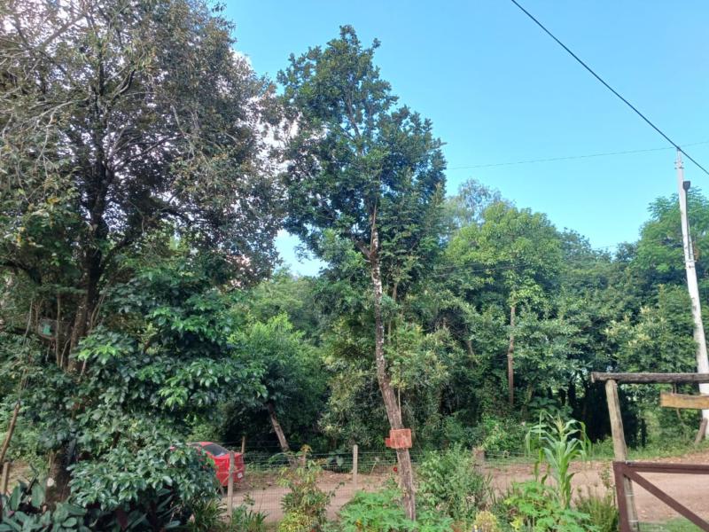 Sítio à venda com 1 quarto, 180m² - Foto 2