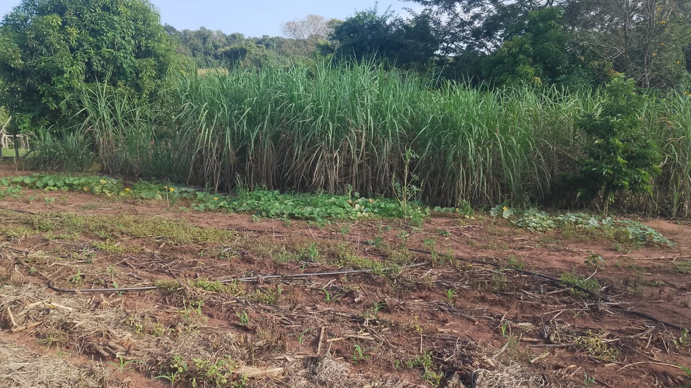 Chácara à venda, 6000m² - Foto 11
