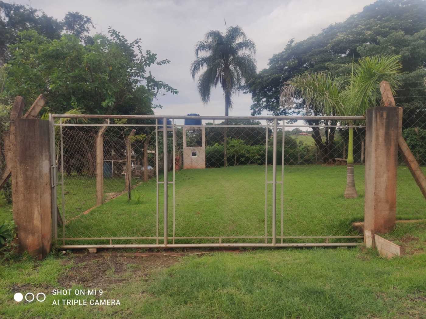 Chácara à venda - Foto 3