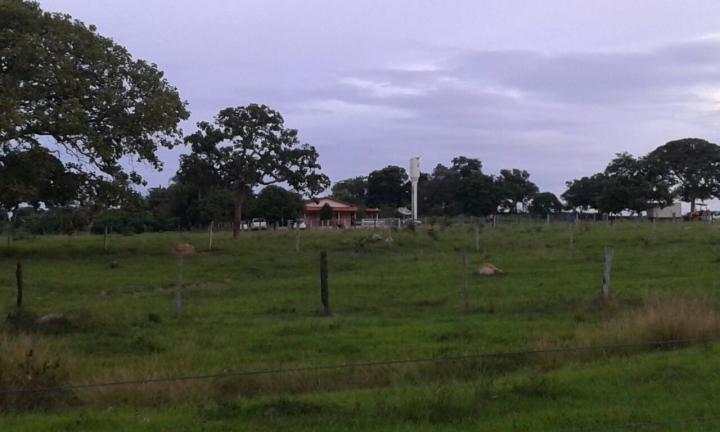 Fazenda à venda com 3 quartos - Foto 14