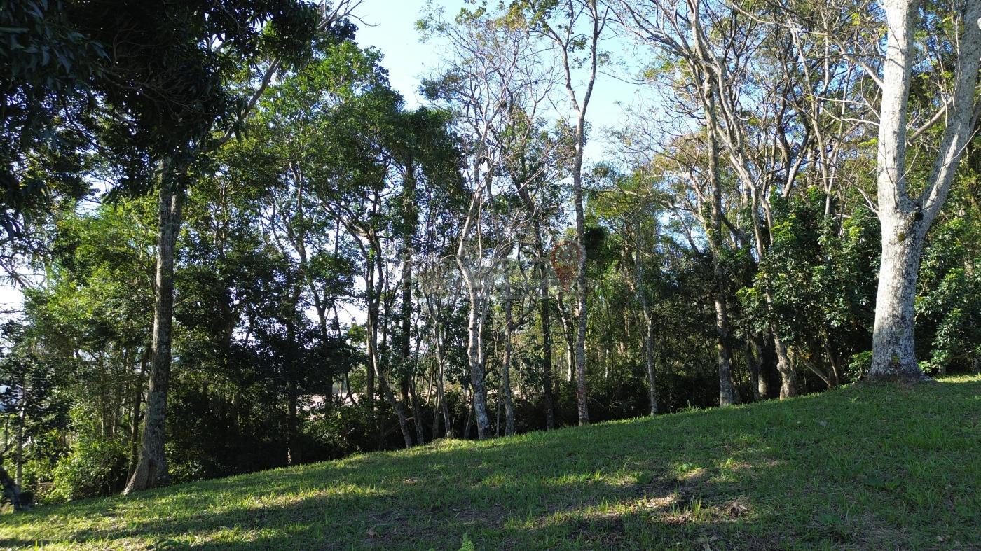Sítio à venda com 3 quartos, 9659m² - Foto 53