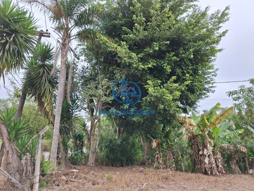 Chácara para alugar com 2 quartos, 4000m² - Foto 18
