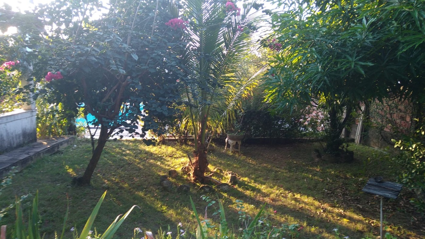 Prédio Inteiro à venda com 3 quartos, 993m² - Foto 7