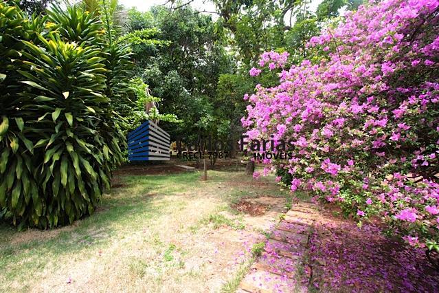 Chácara à venda com 3 quartos, 300m² - Foto 7