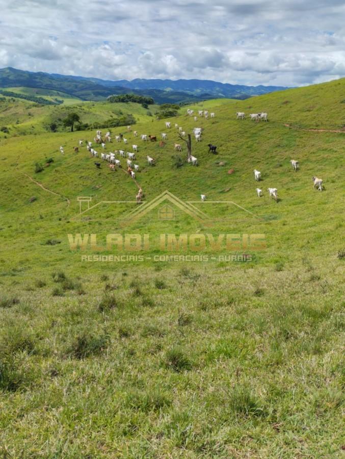 Fazenda à venda, 100m² - Foto 13