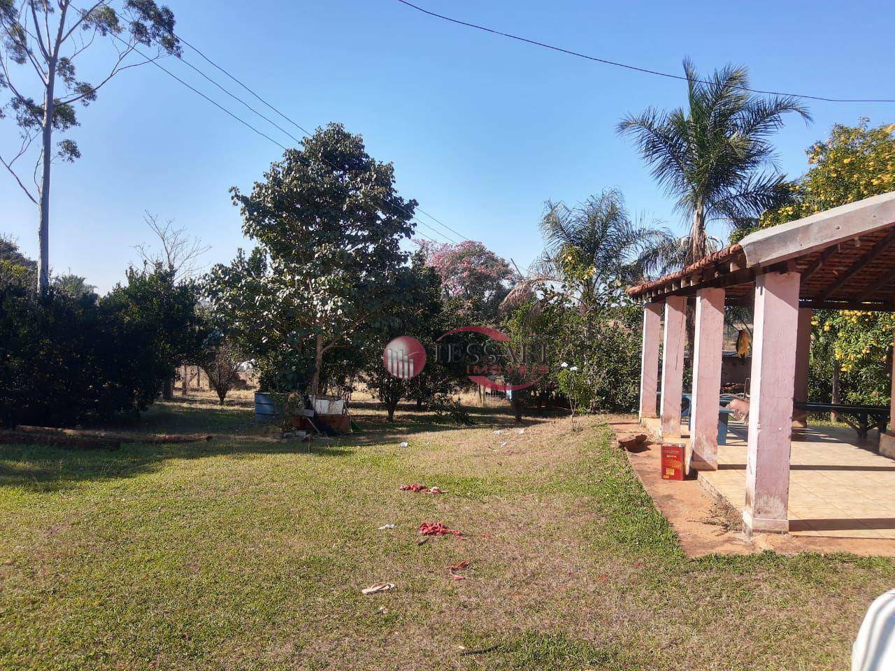 Sítio à venda com 3 quartos, 180m² - Foto 6