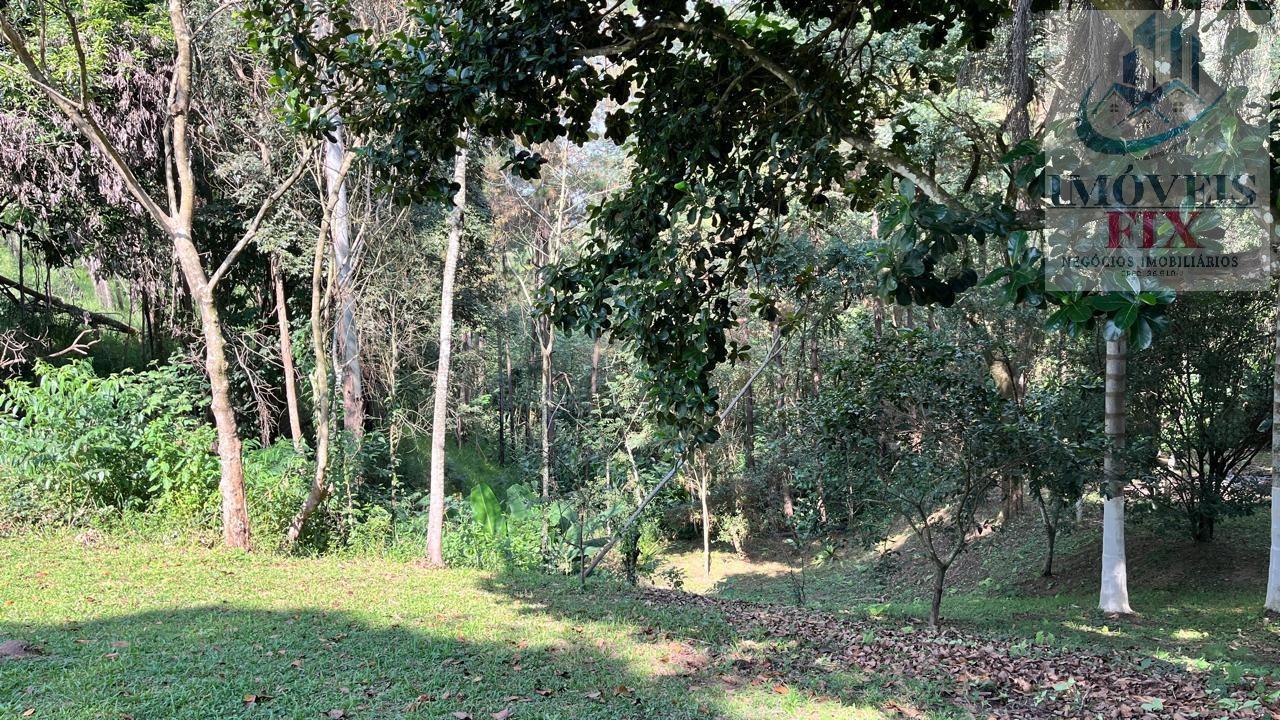 Sítio à venda com 3 quartos, 300m² - Foto 6