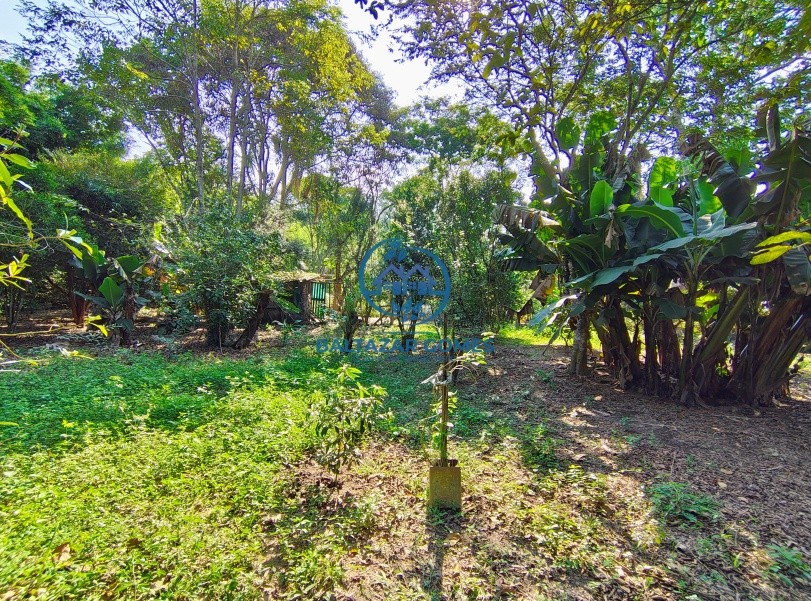 Chácara à venda com 3 quartos, 2500m² - Foto 7