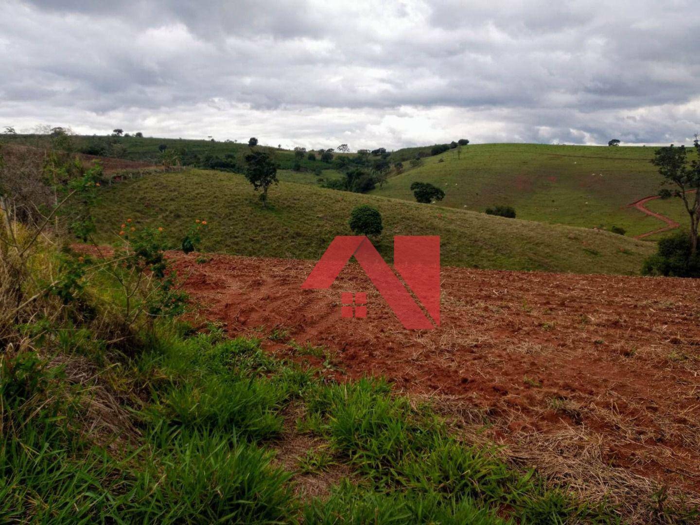 Fazenda à venda com 2 quartos, 200m² - Foto 21