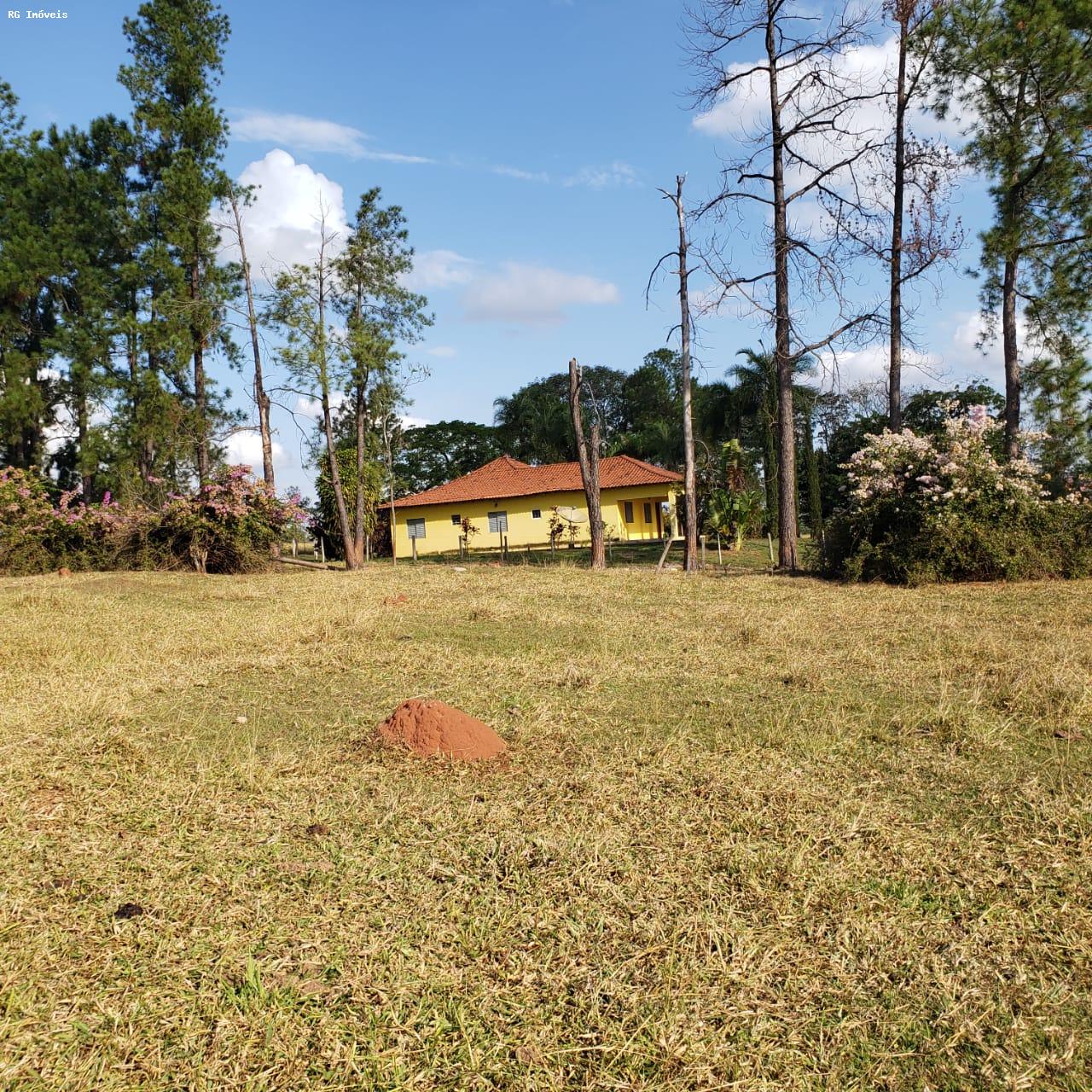 Fazenda à venda com 3 quartos, 3581600m² - Foto 3