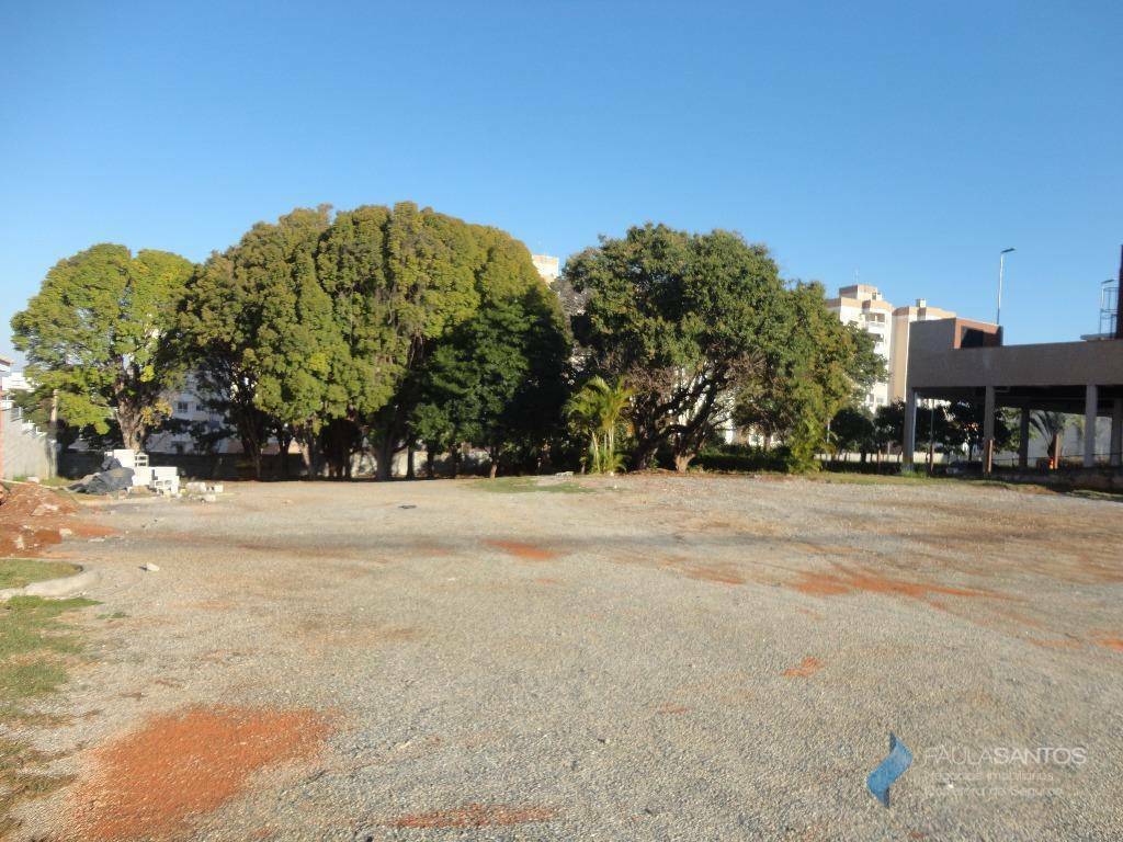 Terreno para alugar, 2446M2 - Foto 6