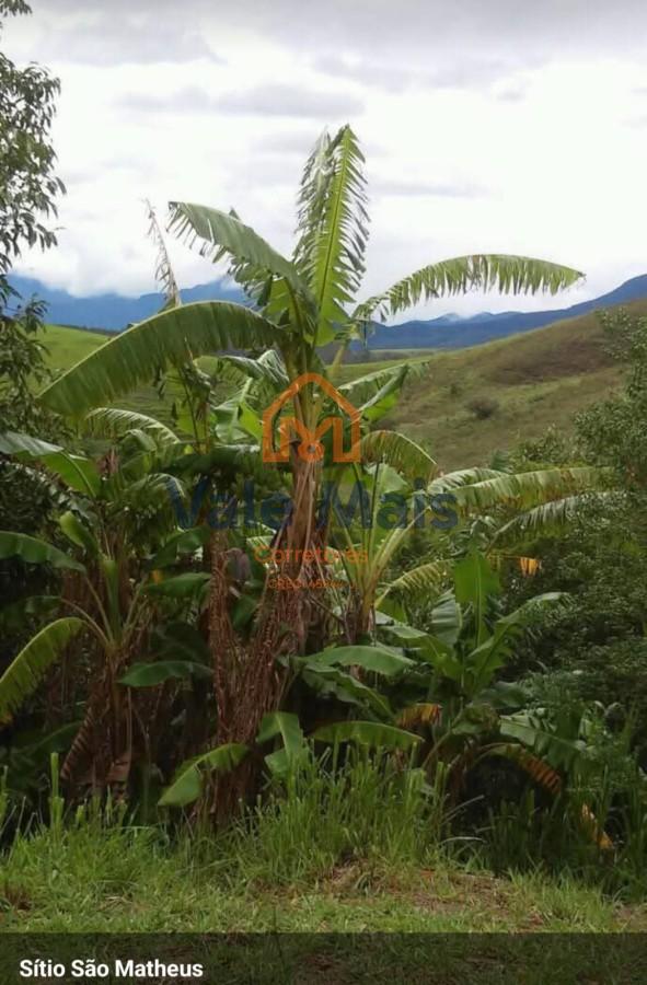 Chácara à venda com 4 quartos, 20000m² - Foto 6