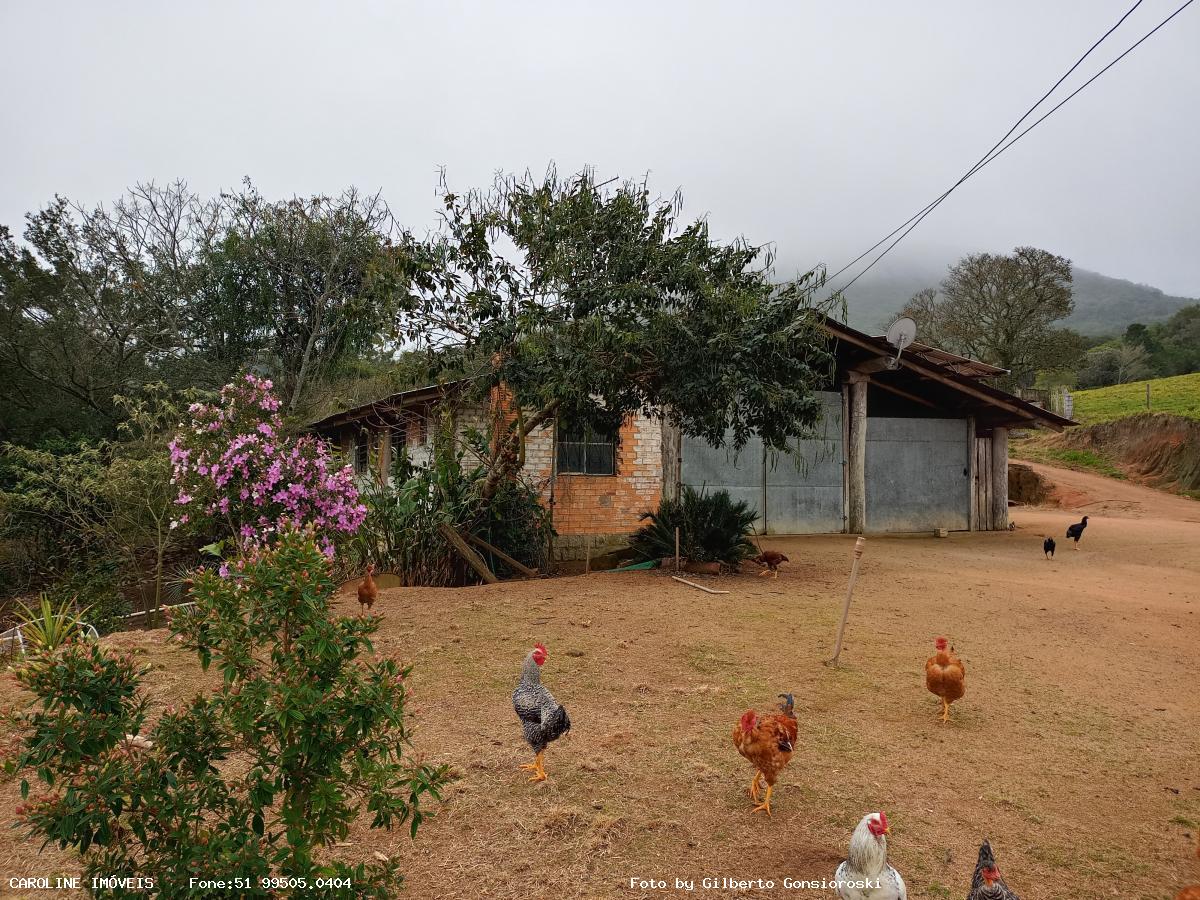 Sítio à venda com 3 quartos, 586000m² - Foto 6