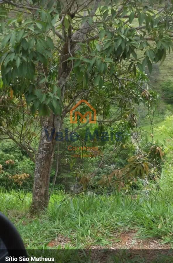Chácara à venda com 4 quartos, 20000m² - Foto 4