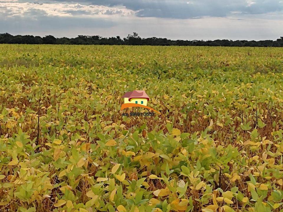 Fazenda à venda, 1m² - Foto 28