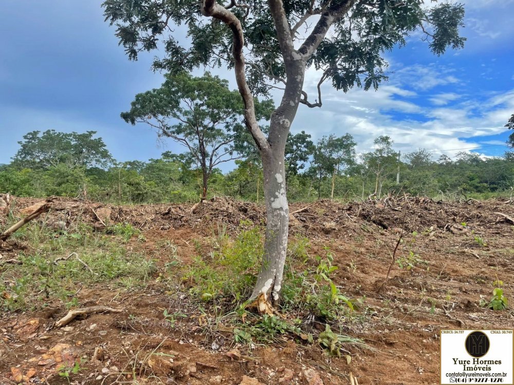 Chácara à venda com 20 quartos, 3740m² - Foto 16