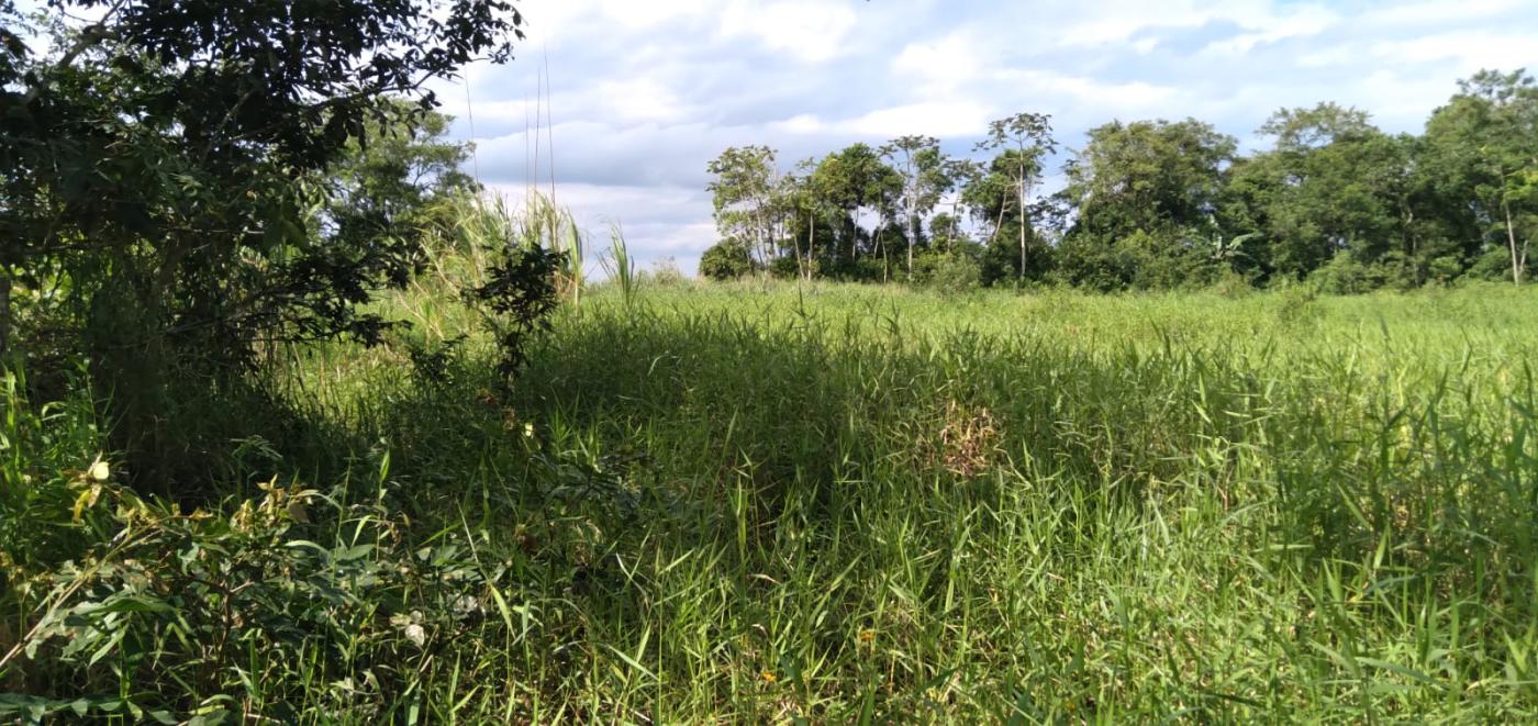 Chácara à venda, 22000m² - Foto 3