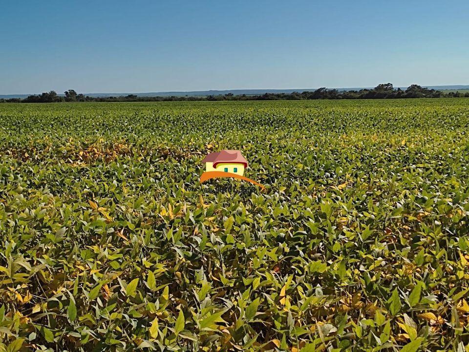 Fazenda à venda, 1m² - Foto 13