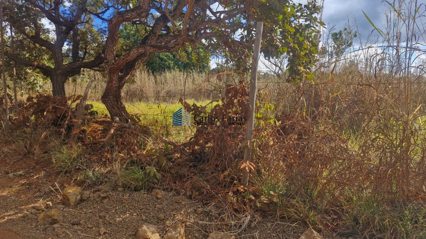 Chácara à venda, 20000m² - Foto 9