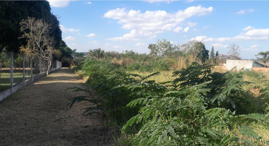 Chácara à venda, 5000m² - Foto 5