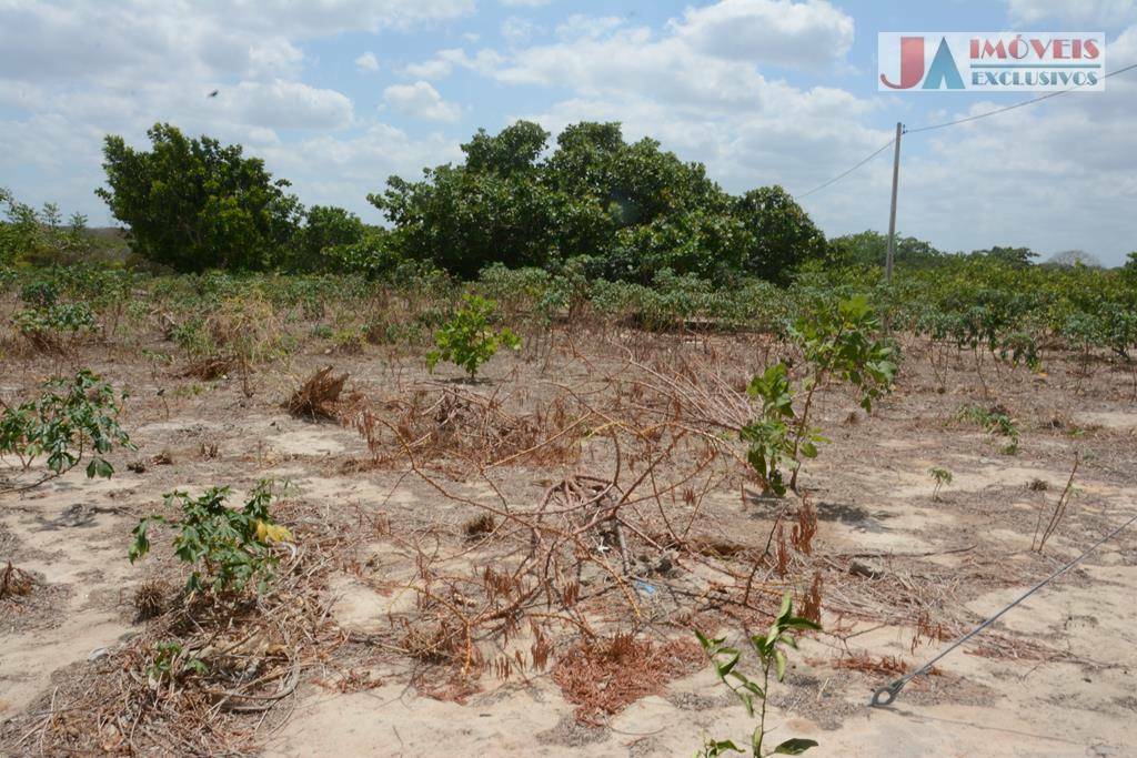 Sítio à venda com 4 quartos, 595m² - Foto 15
