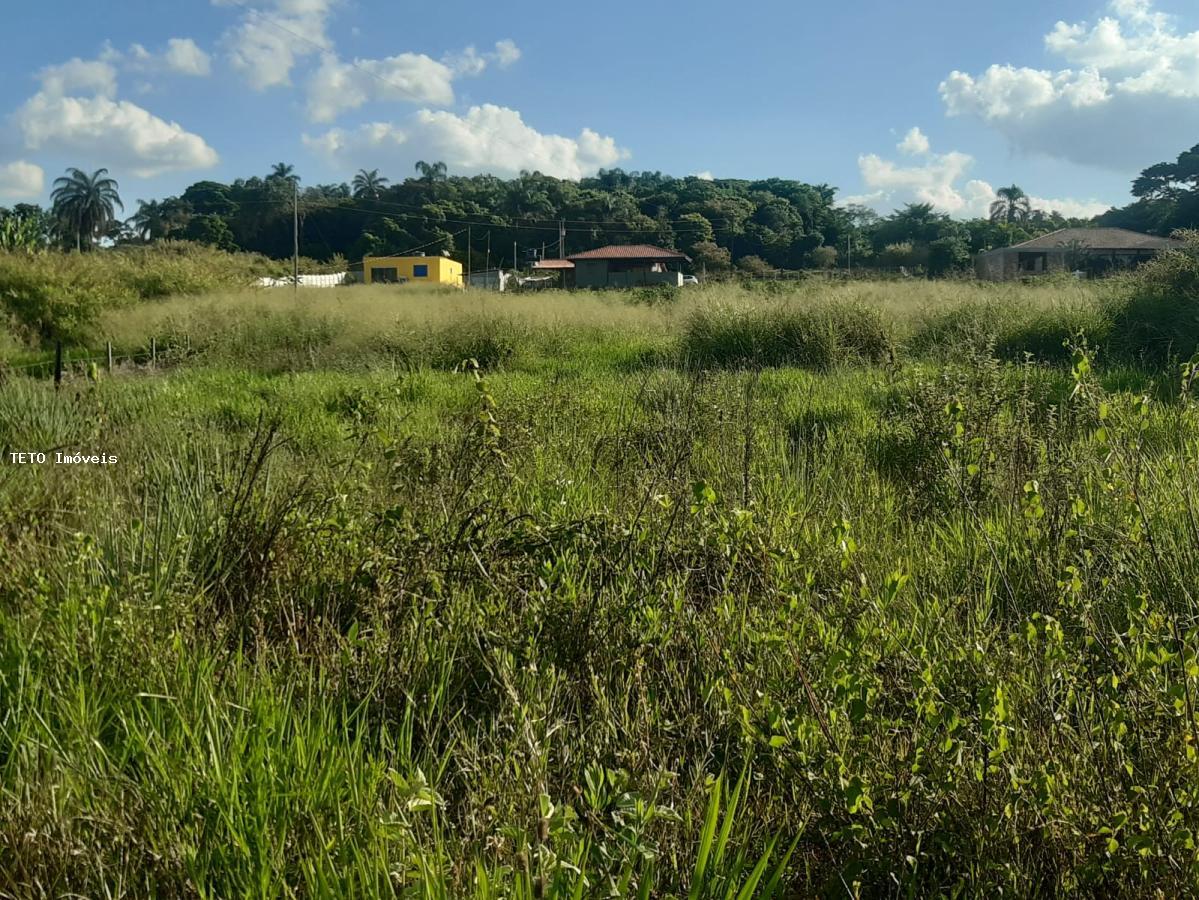 Sítio à venda com 2 quartos, 10000m² - Foto 28