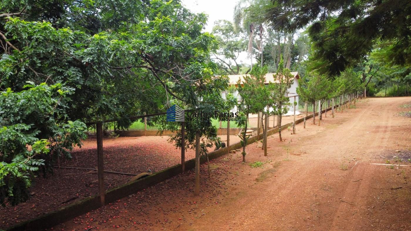 Fazenda à venda com 3 quartos, 230m² - Foto 27