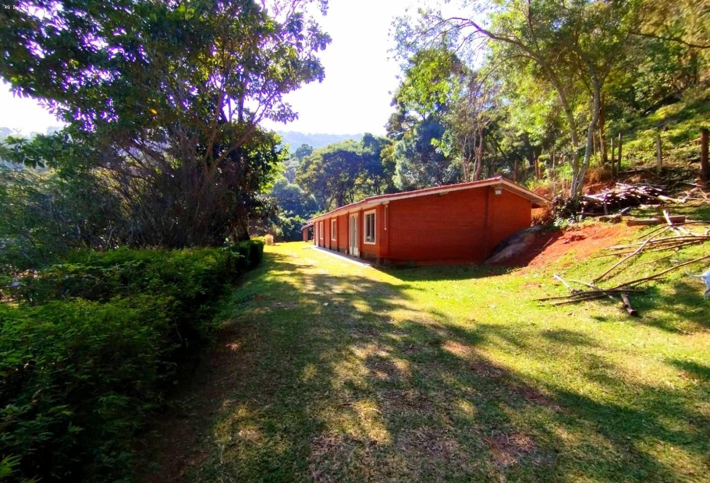 Sítio à venda com 2 quartos, 48400m² - Foto 13