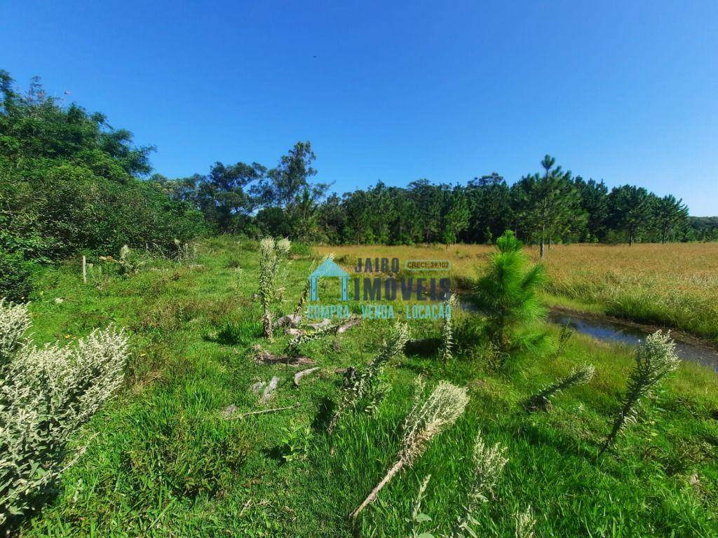 Sítio à venda com 2 quartos, 60000M2 - Foto 16