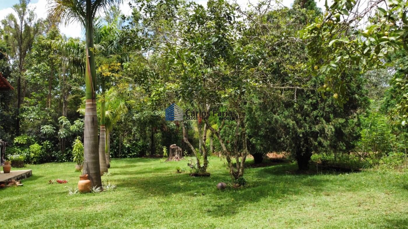 Fazenda à venda com 3 quartos, 230m² - Foto 14