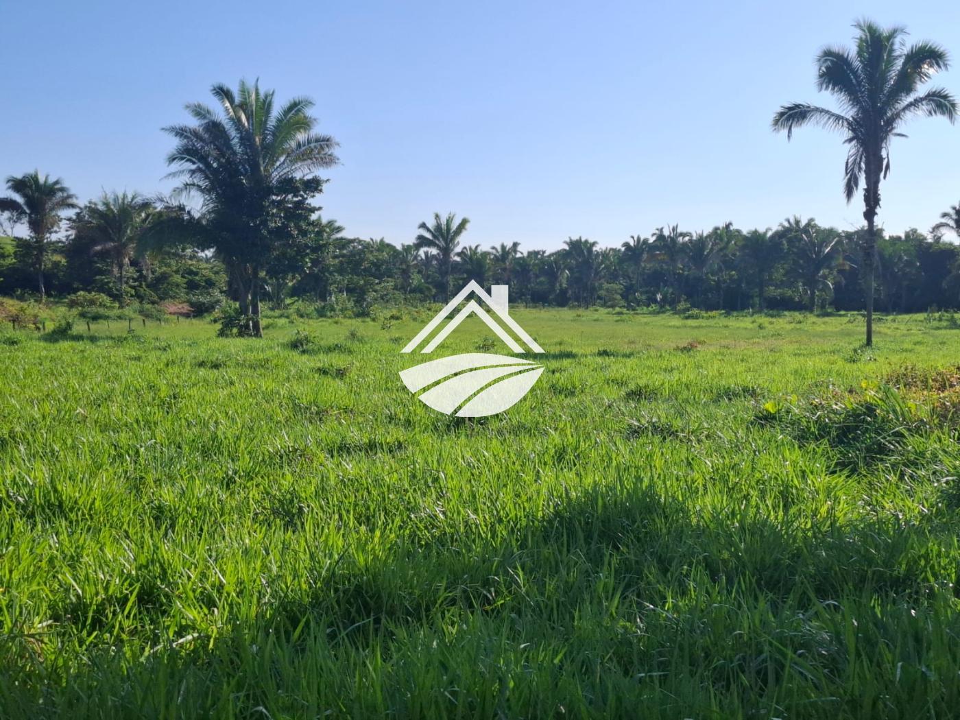 Fazenda à venda, 1m² - Foto 19