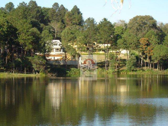 Chácara à venda com 4 quartos, 400m² - Foto 28