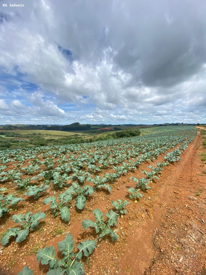 Fazenda à venda com 2 quartos, 1766600m² - Foto 3