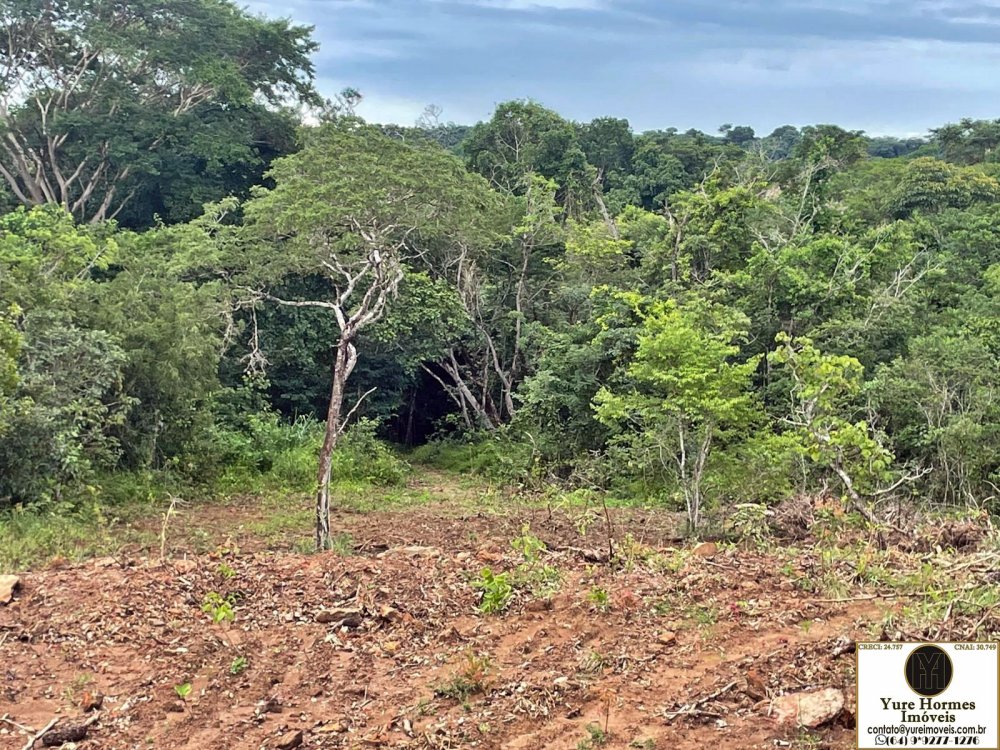 Chácara à venda com 20 quartos, 3740m² - Foto 15