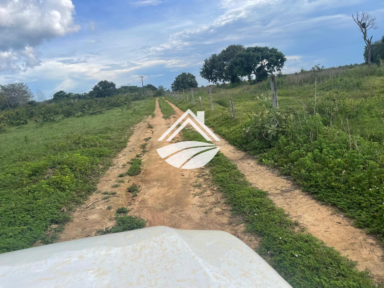 Fazenda para alugar, 1m² - Foto 7