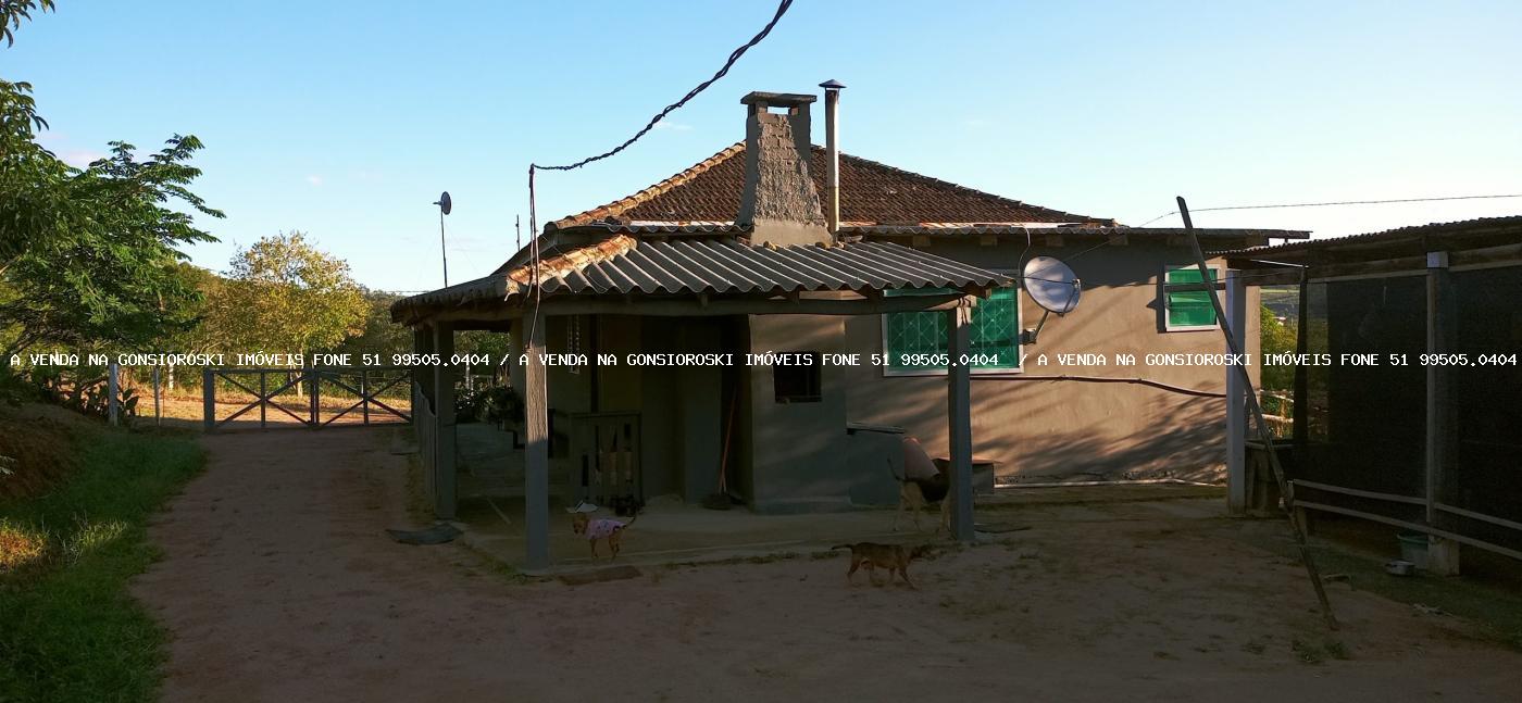 Fazenda à venda com 3 quartos, 55000m² - Foto 7