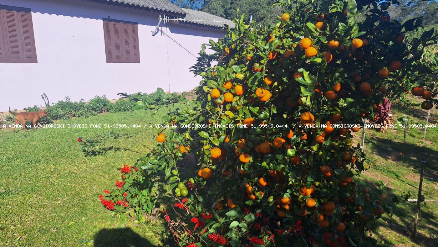 Sítio à venda com 4 quartos, 46500m² - Foto 27