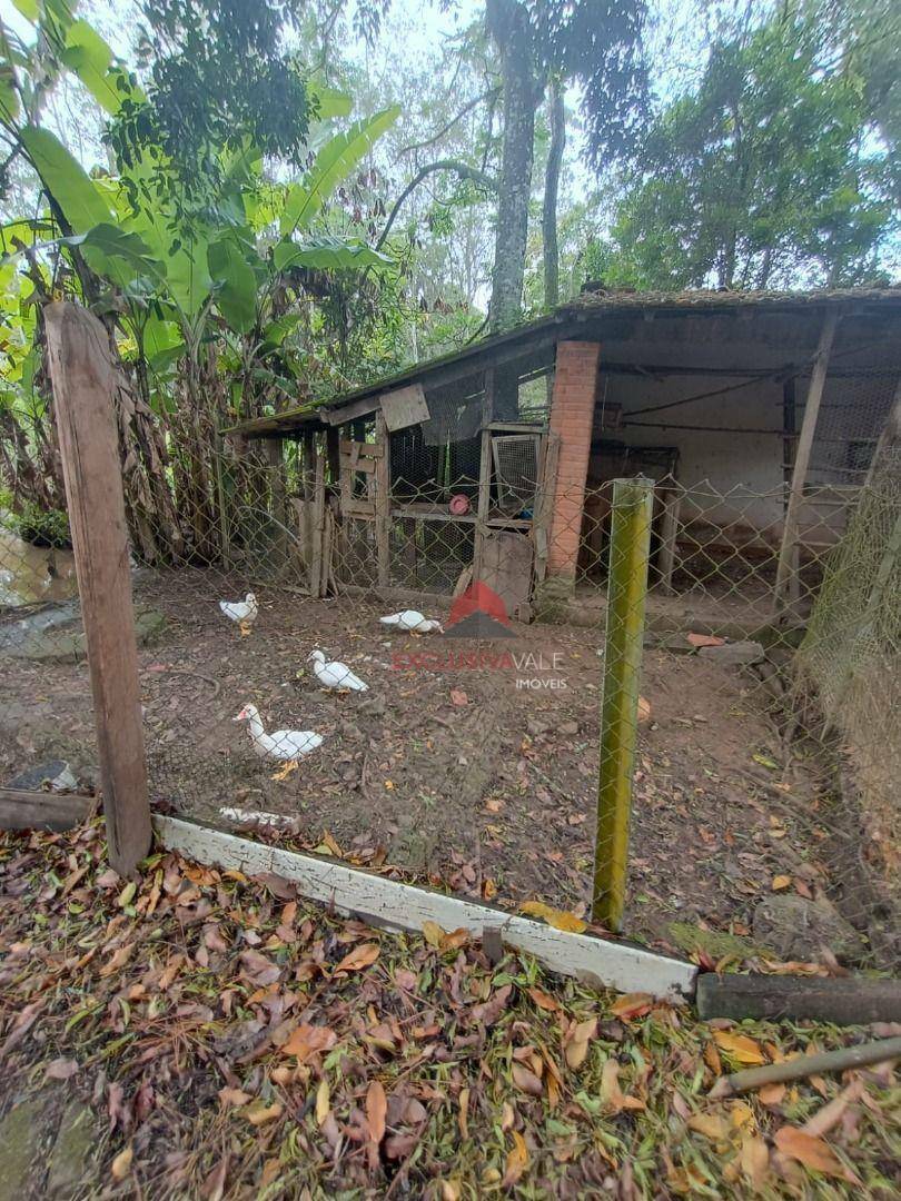 Chácara à venda com 2 quartos, 3500M2 - Foto 3