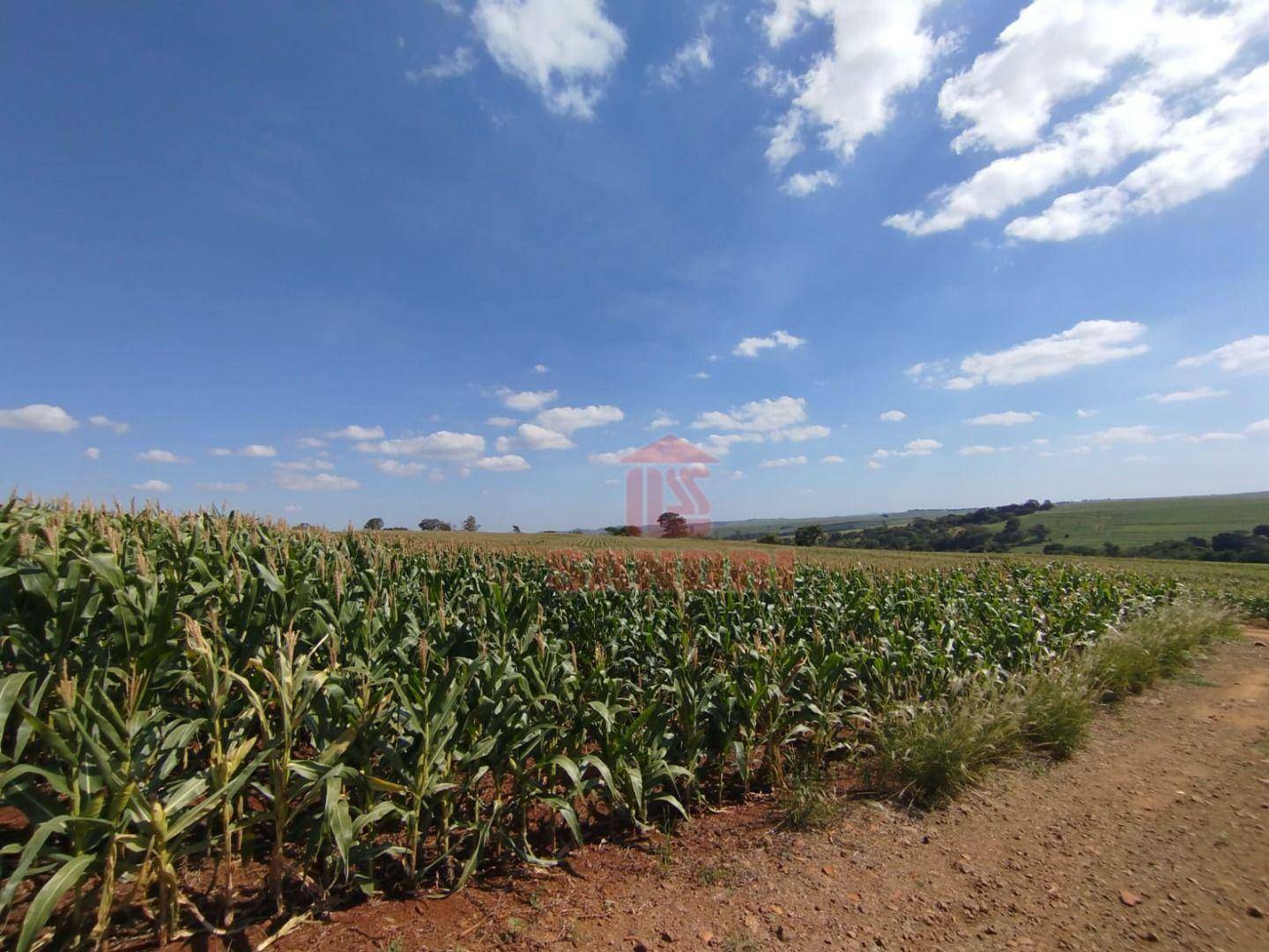 Sítio à venda com 3 quartos, 660m² - Foto 16