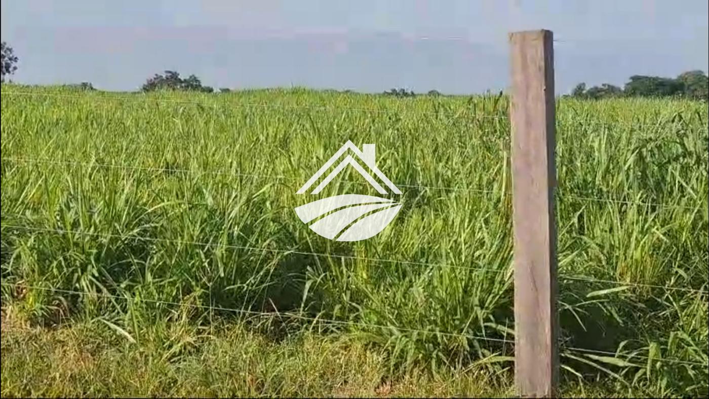Fazenda à venda, 1m² - Foto 2