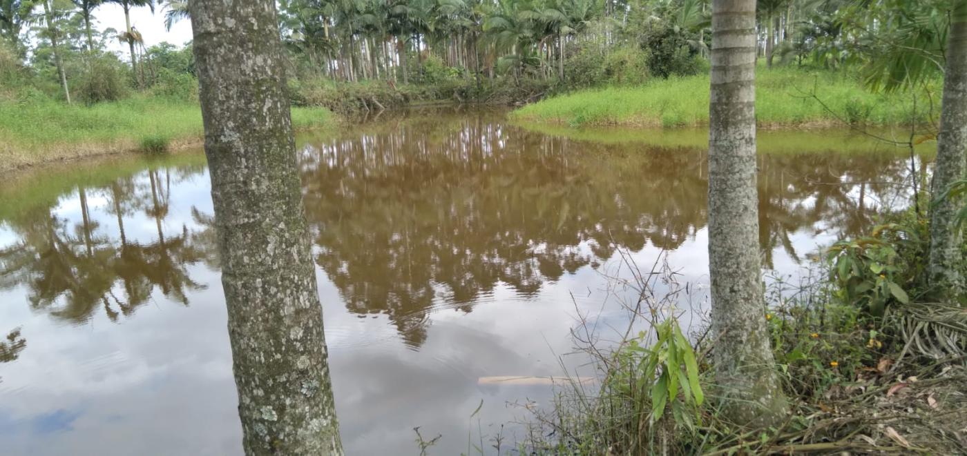 Chácara à venda, 22000m² - Foto 13