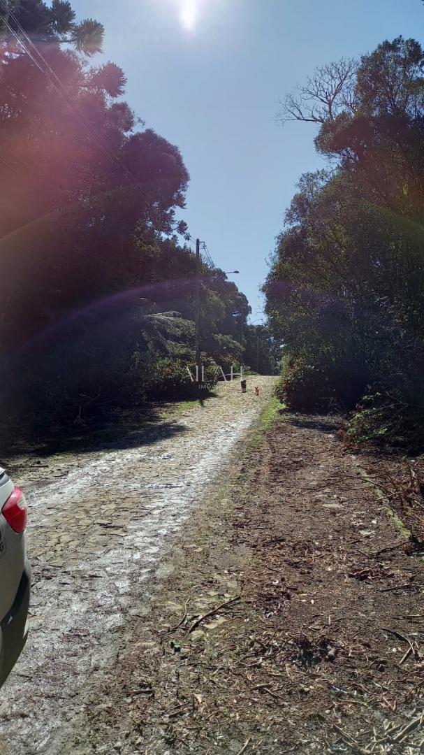 Terreno à venda, 750m² - Foto 4