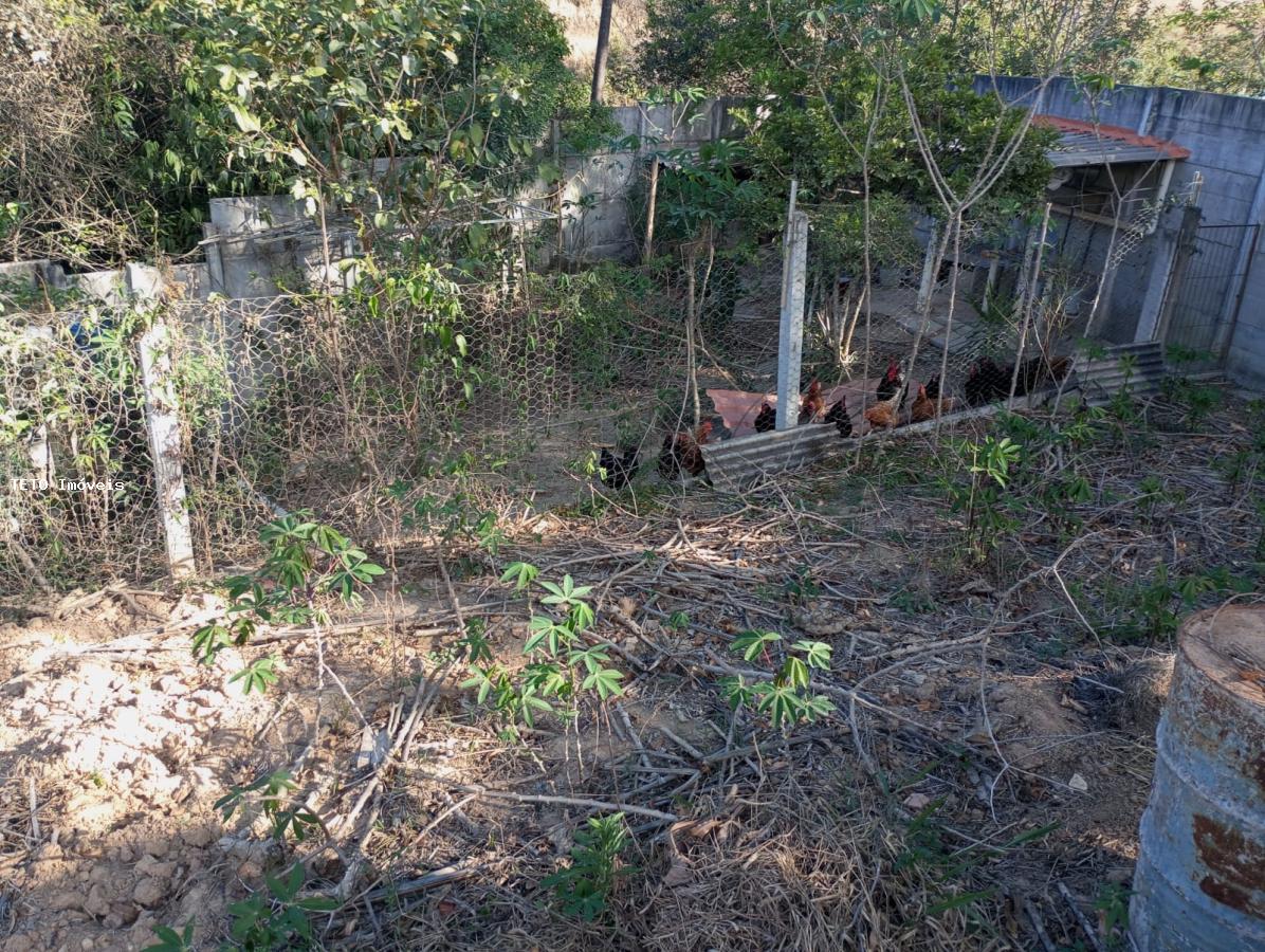 Sítio à venda com 5 quartos, 4800m² - Foto 38