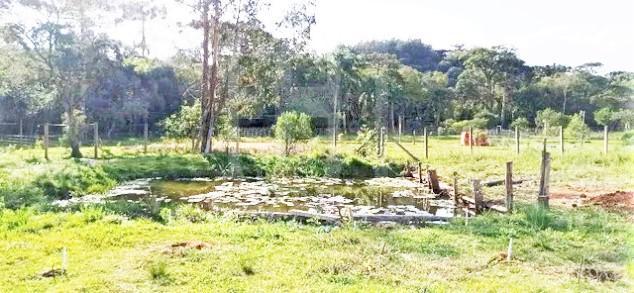 Chácara à venda com 3 quartos, 5000m² - Foto 11