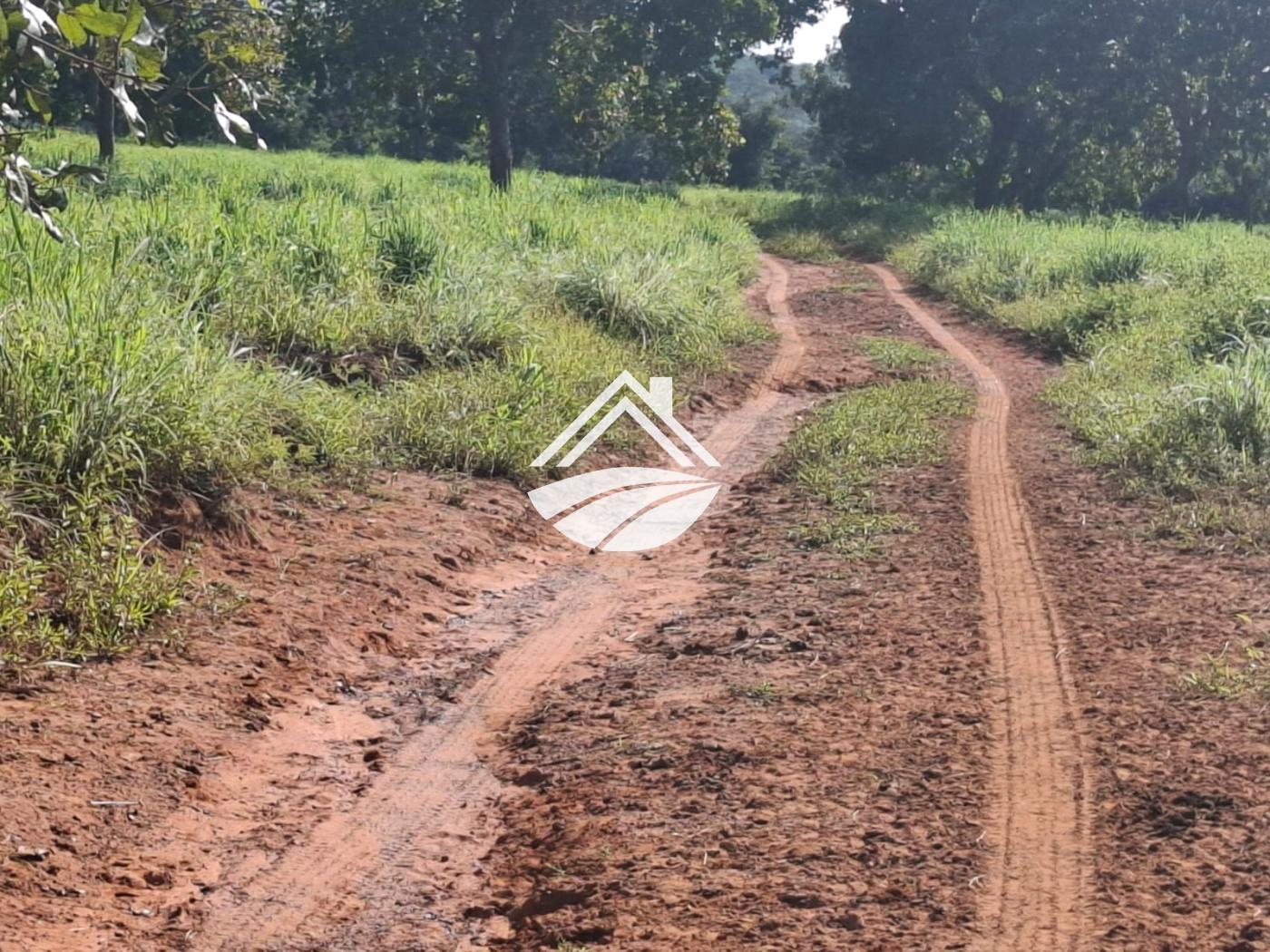 Fazenda à venda, 1m² - Foto 16
