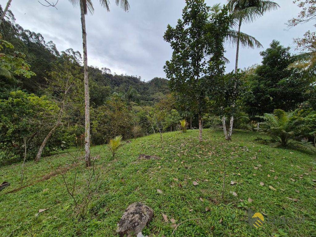 Sítio à venda com 3 quartos, 200m² - Foto 44