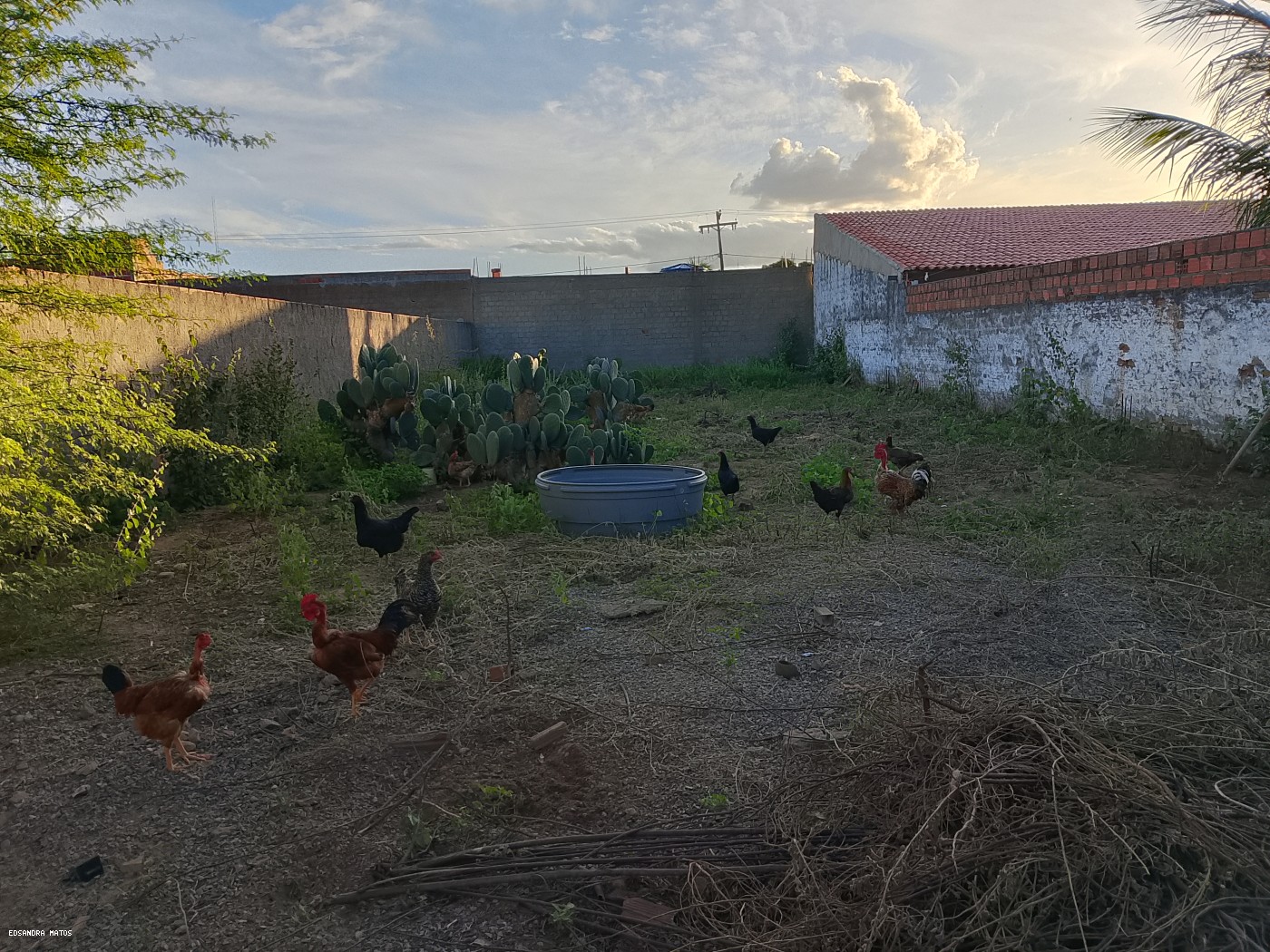 Terreno à venda - Foto 3