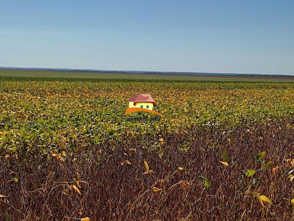 Fazenda à venda, 1m² - Foto 14