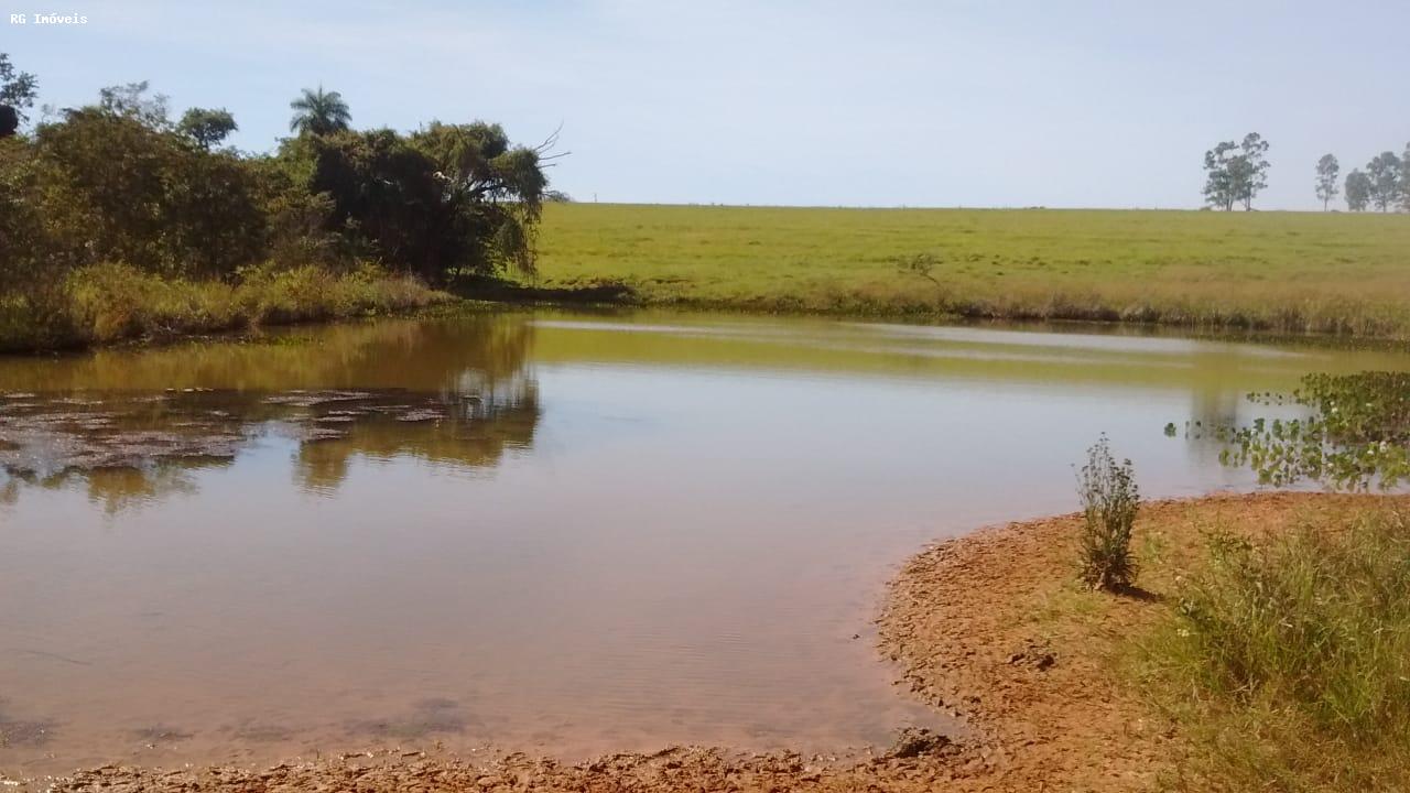 Fazenda à venda com 3 quartos, 3581600m² - Foto 12